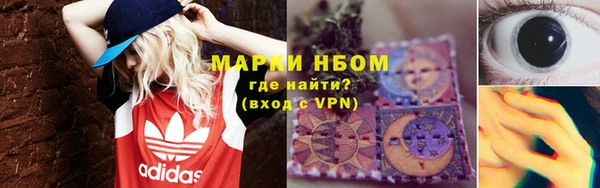 индика Богданович