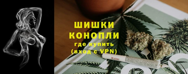индика Богданович