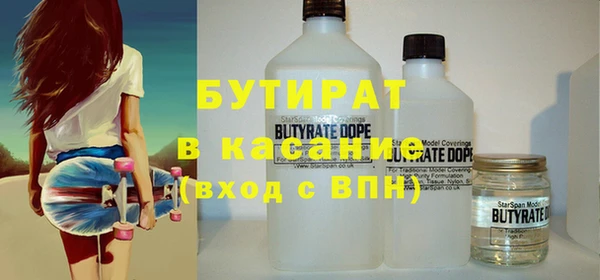 индика Богданович