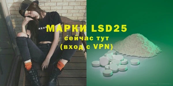индика Богданович