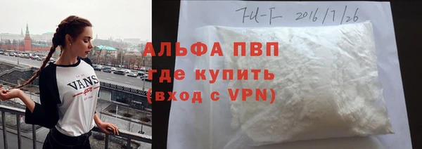 индика Богданович