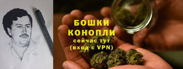 индика Богданович