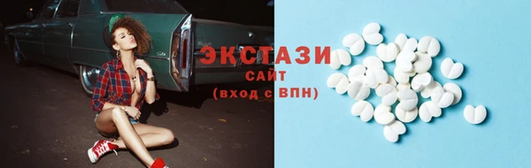 индика Богданович