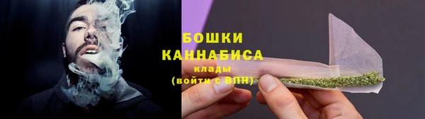 индика Богданович