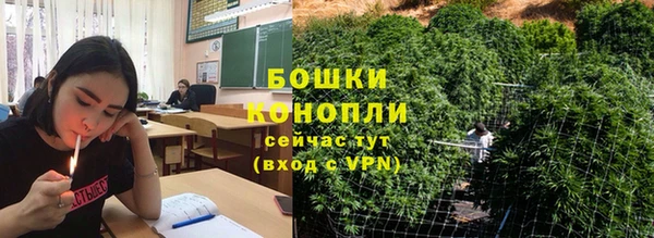 ECSTASY Белокуриха
