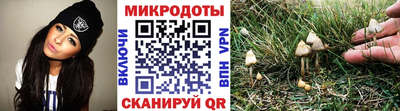 Псилоцибиновые грибы прущие грибы  Купино 